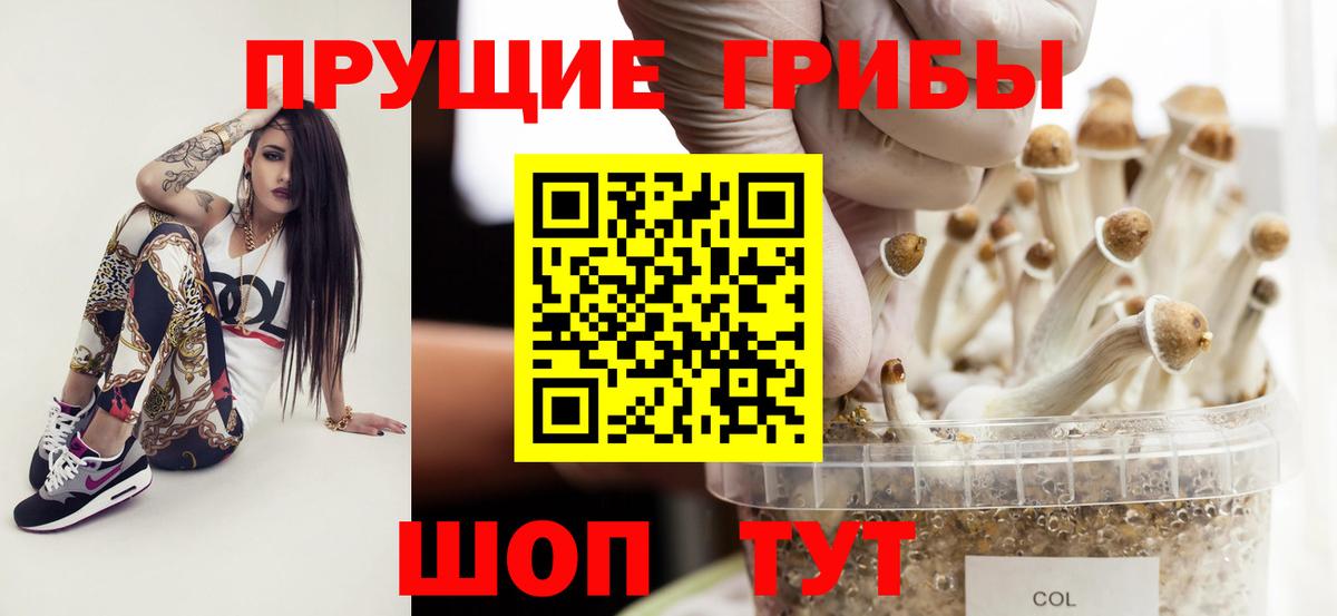 Галлюциногенные грибы Magic Shrooms  Вход с VPN  Коркино 